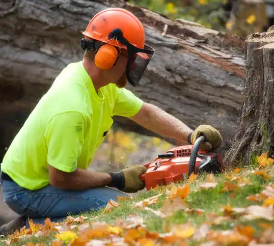 tree services Oceanport